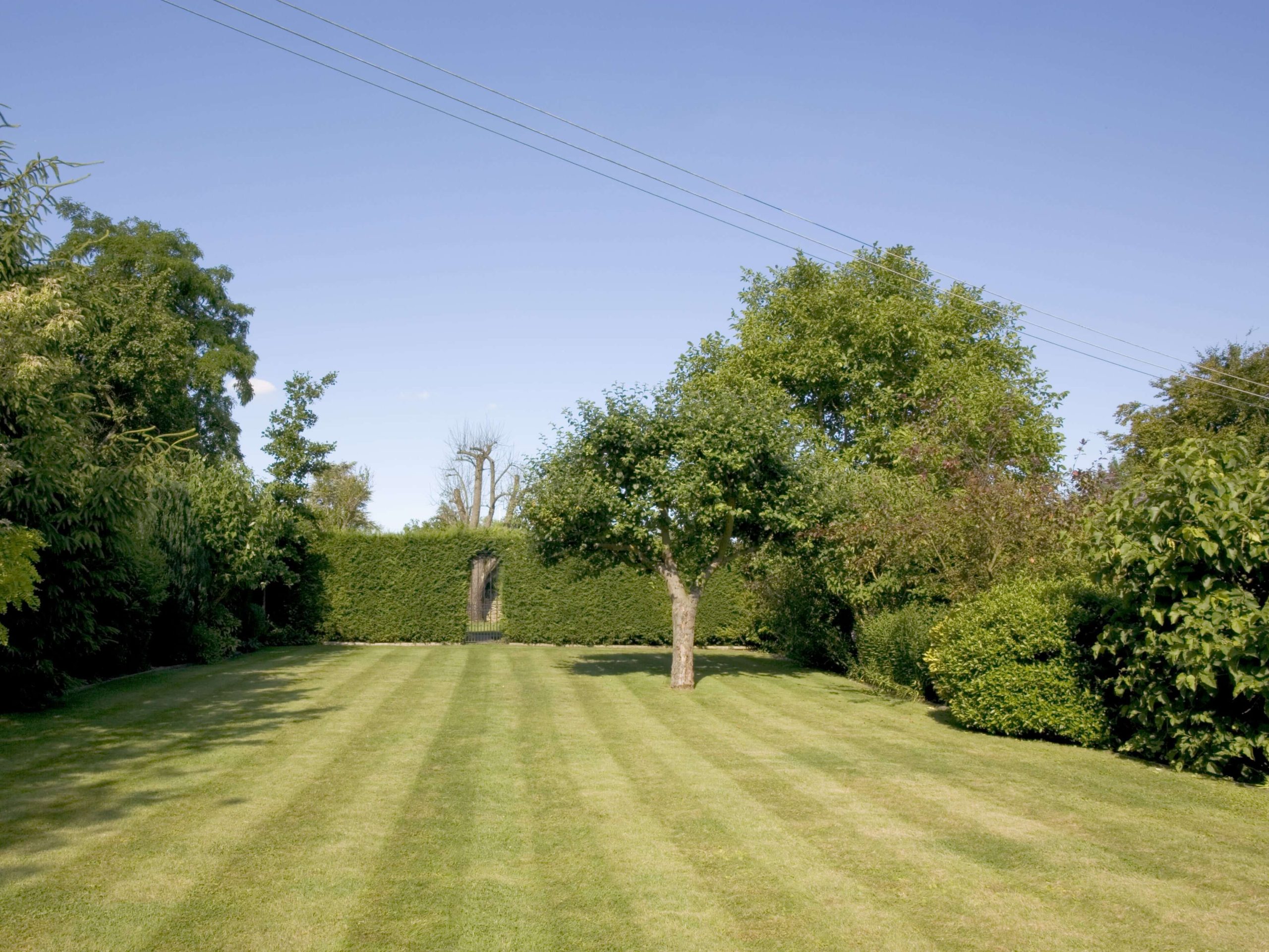 Lawn Mowing/Hedge Trimming Sutton SM1/SM2