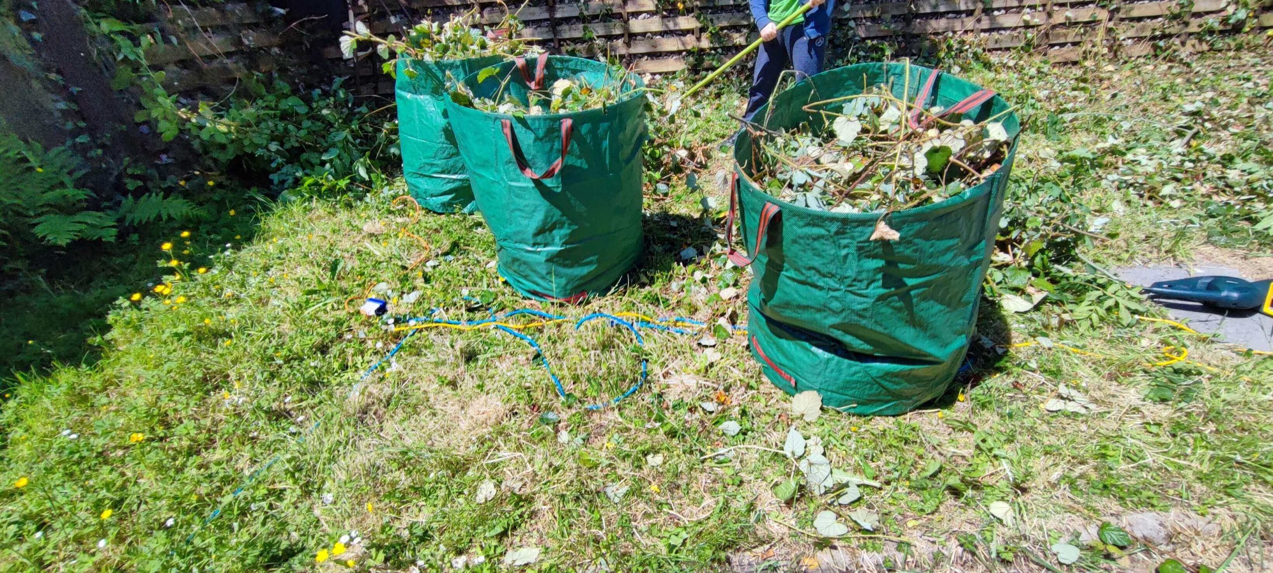 Green Waste Removals Sutton SM1/SM2