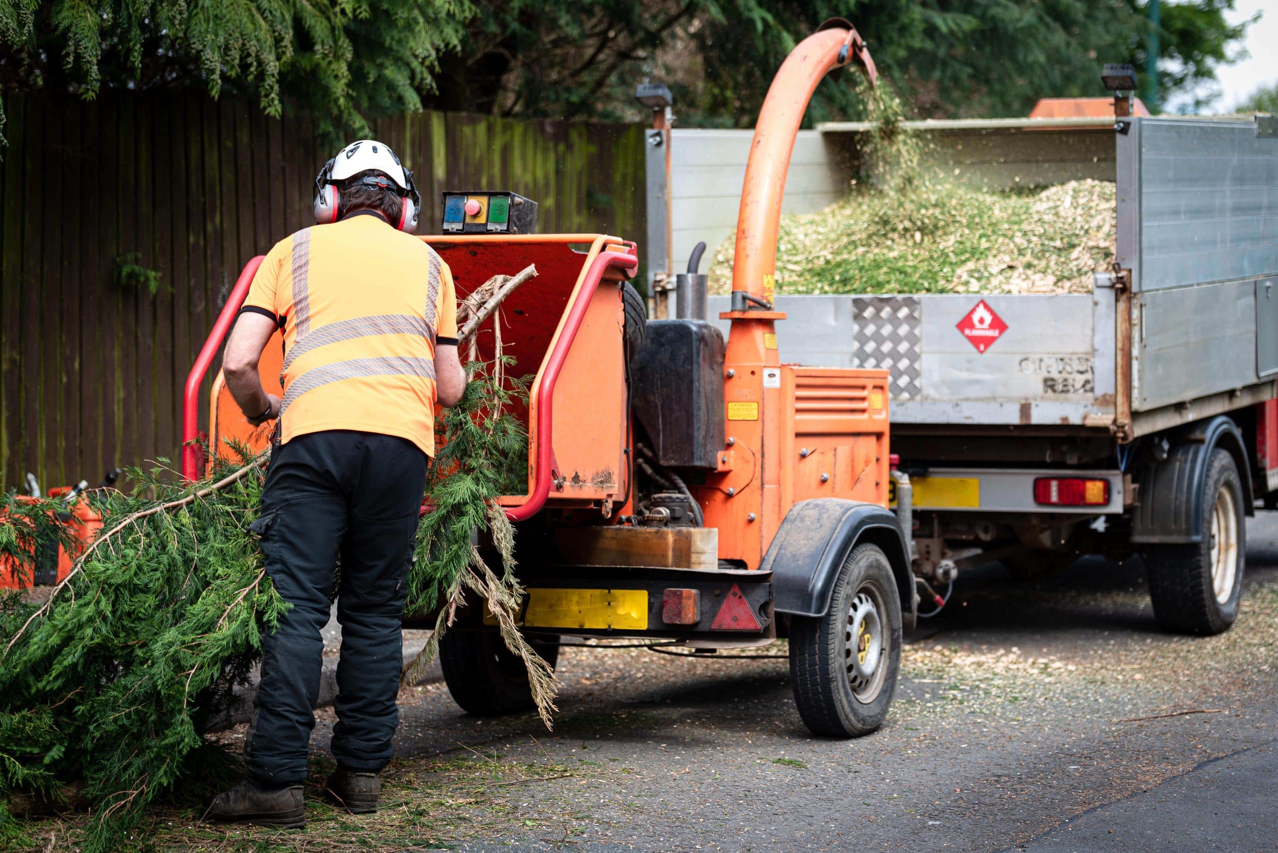 Tree Stump Grinding/Removal Sutton SM1/SM2